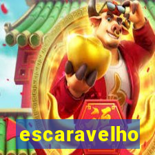 escaravelho significado oculto